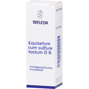 Equisetum Cum Sulfure Tostum D6
