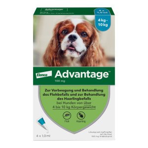Advantage 100 Hund