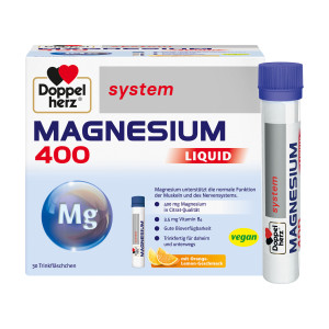 Doppelherz system Magnesium 400 Liquid