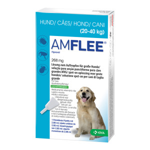 Amflee 268 mg Lösung zum Auftropfen für Große Hunde