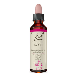 Bachbl&uuml;te Larch