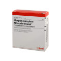 Herpes Simplex Nosode Injeel Ampullen