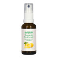 Bergland Raumspray Fresh Lemon