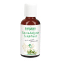 Bergland Sauna-Aufguss Eukal-Fresh